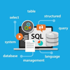 Pelatihan MySQL Database Administrator